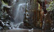 风景秀丽的莫干山