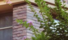 窗外，那最后一片树叶