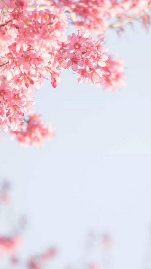 时间过去了，岁月平静