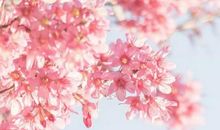 时光已逝，岁月静好