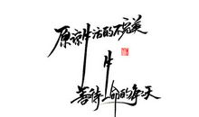 逆境一样心怀感恩