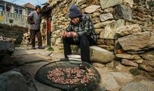 厨房里的“君王”