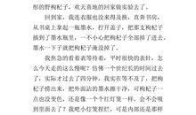 那是一次什么的尝试作文500字