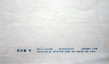 大渡河上的史诗读后感