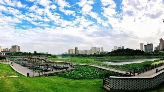 另一种公园