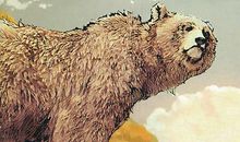 你好，棕熊读后感