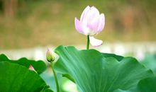 今天雨景，不美