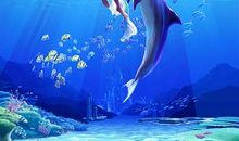 传递爱的天使——拥抱