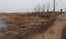 童真是一条永不枯竭的河