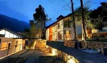 春天，在爷爷的农家小院里