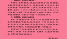 致数学君的一封信