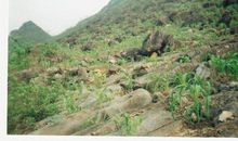 欲无杂草，必种庄稼