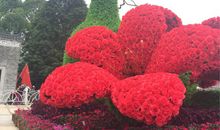 我和爸爸去公园