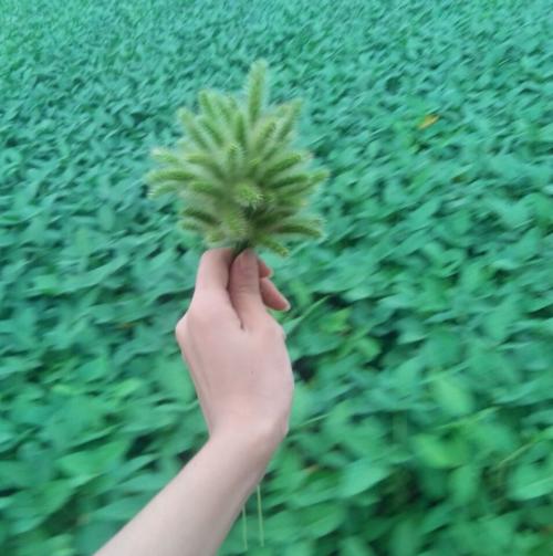 人生的旅途是痛苦而快乐的