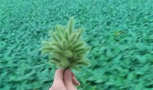 人生路上痛并快乐着