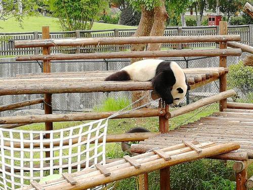 长沙动物园