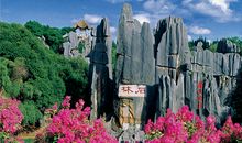 云南行之昆明石林