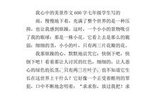你是我心底的风景作文600字