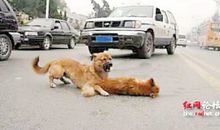 感动在这一瞬间