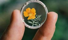 向前看，把路走直