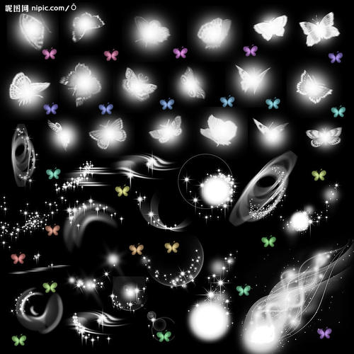 我看见一棵星星树