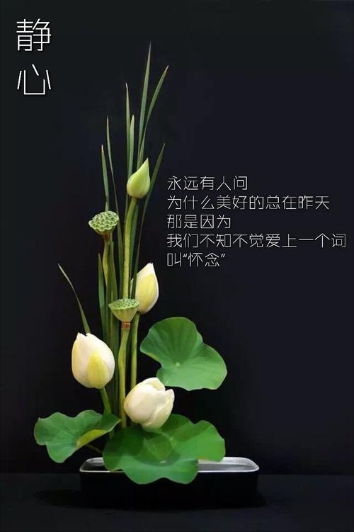 生活是美好的