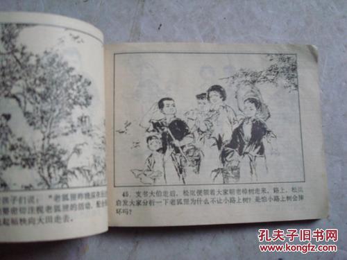 我发现了樟树的秘密