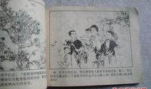 我发现了香樟树的秘密