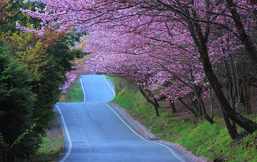 路