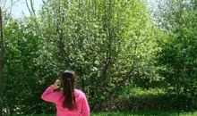 落雨悠闲品江南