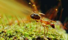 微观世界观后感