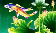 让真善美之花绽放