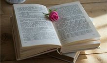 哲理故事：迷失自我的虾_200字