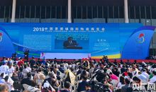 小区里的陶瓷展