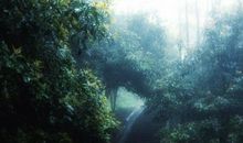 难忘的莫干山之旅