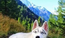 如果眼睛没有了