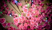 碎片生活，完整意识