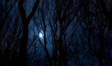 那个让我恐惧的晚上