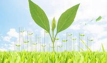 为大自然添一分绿色