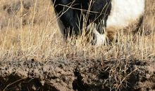 我最爱的张家口