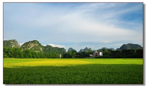 夏季田园