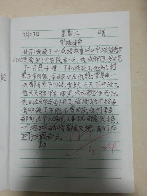 等待兔子阅读