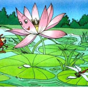 多么美丽的夏日夜晚
