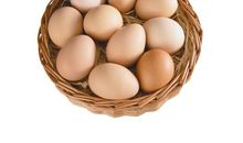 埋在时间深处的那枚鸡蛋