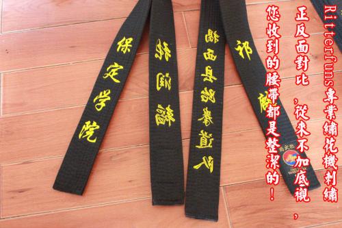 初学者跆拳道_450字