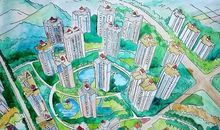 森林城市——我心中的绿色家园