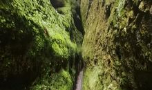 那条长满青苔的石阶路