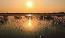 奋斗在扬帆之后