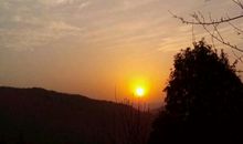 独望春江花月夜