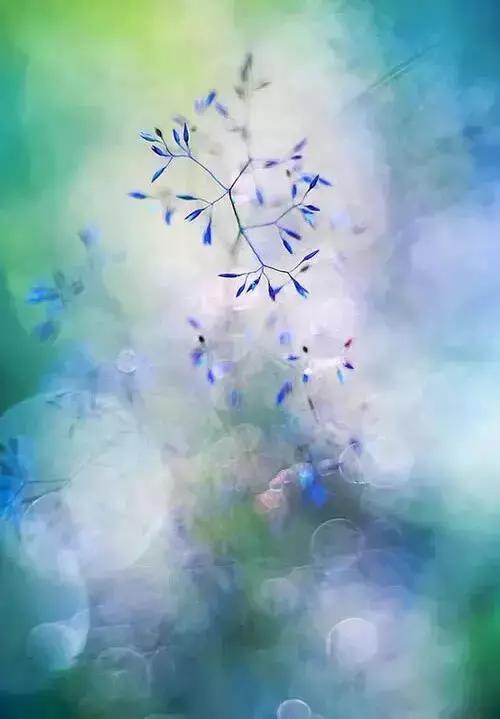 生活中的美